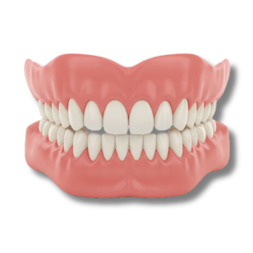 Evantory™ - Denture Set