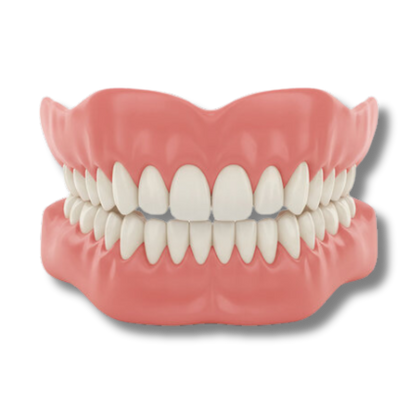 Evantory™ - Denture Set